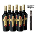 6 VINOS MISIONES DE RENGO RESERVA CABERNET SAUVIGNON 750CC