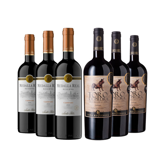 3 TORO DE PIEDRA GRAN RVA CARMENERE + 3 MEDALLA REAL RVA CARMENERE 750CC