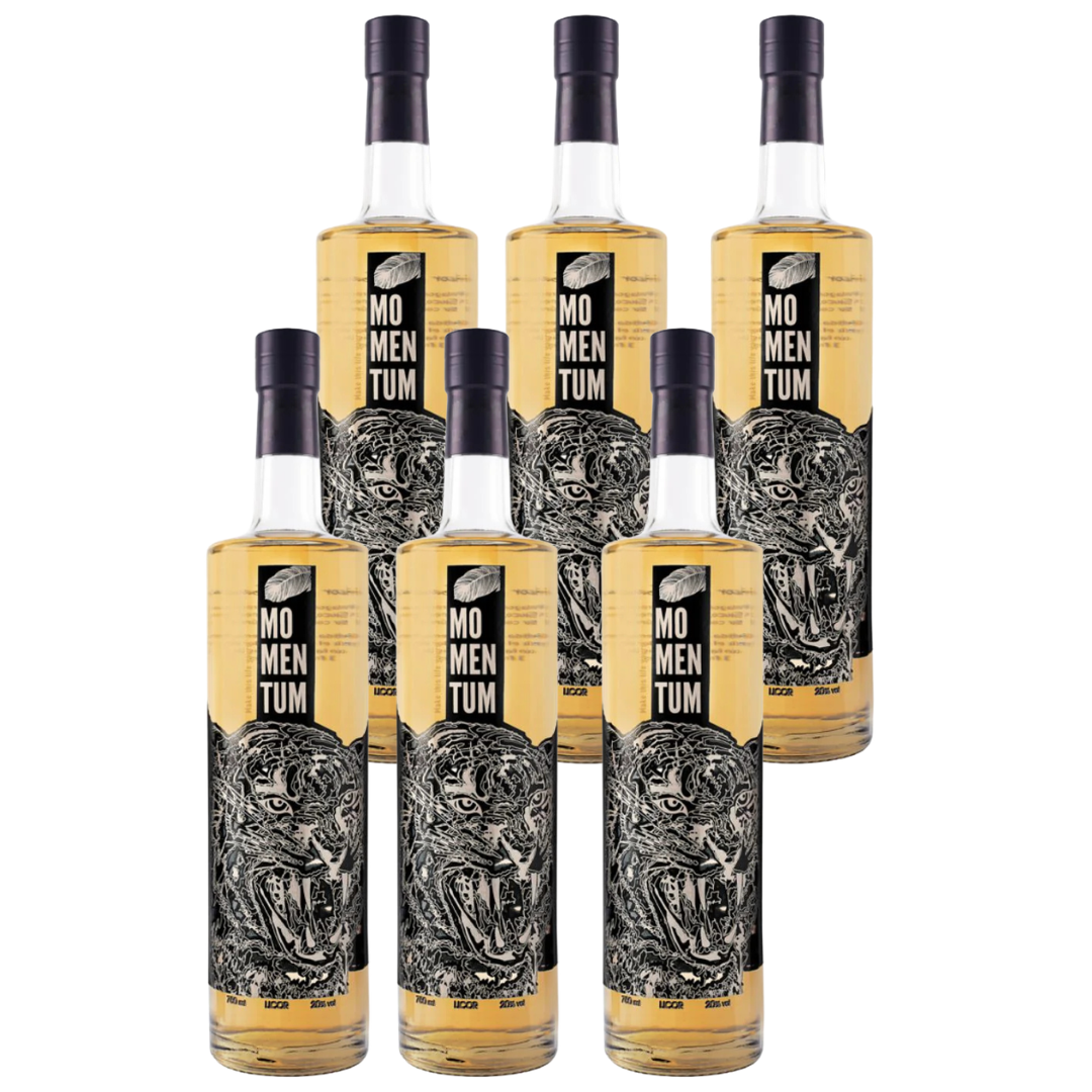 6X LICOR MOMENTUM FLOR DE SAUCO 750CC